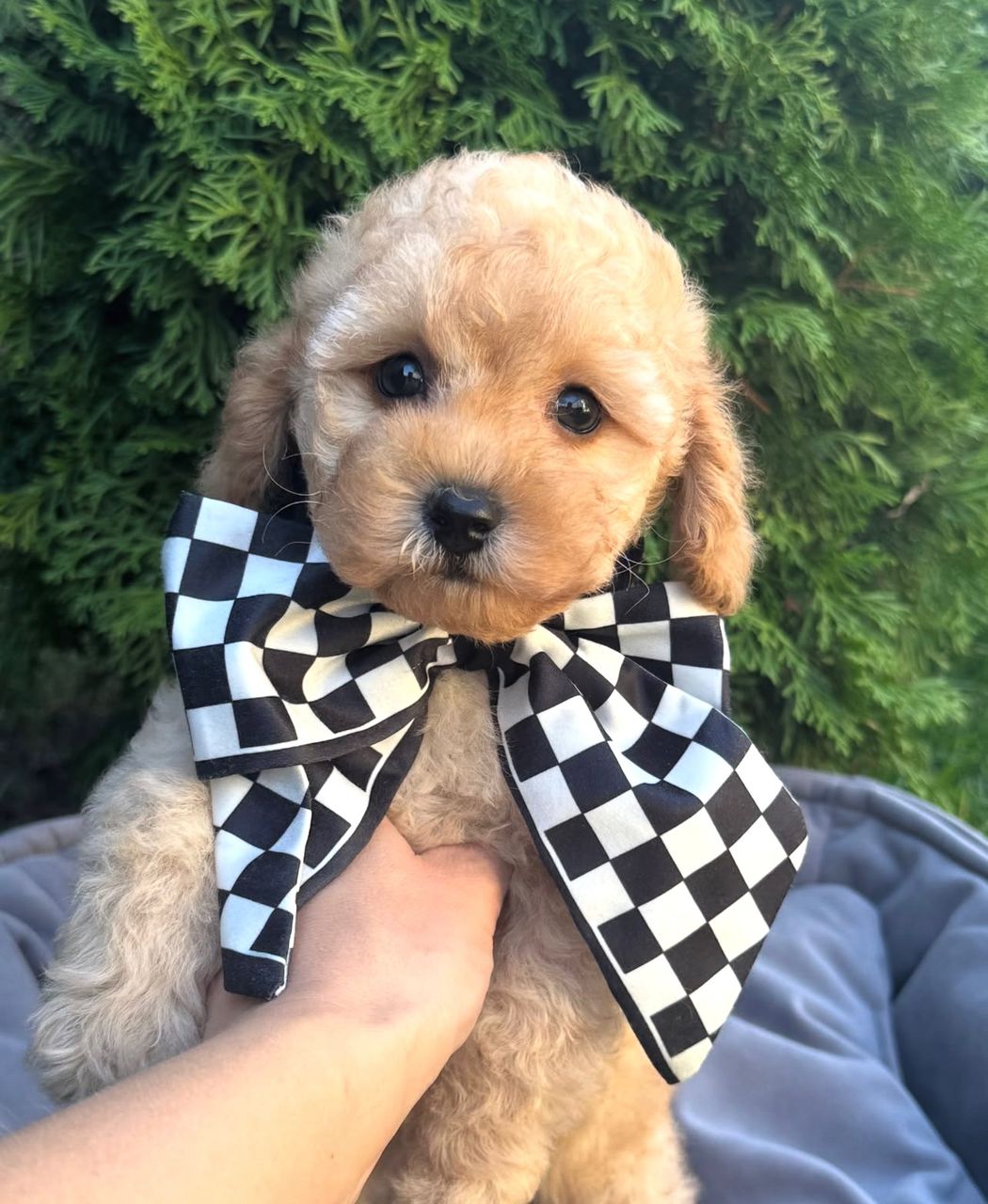 WhatsApp Image 2025-11-21 at 22.25.20_082d55fc