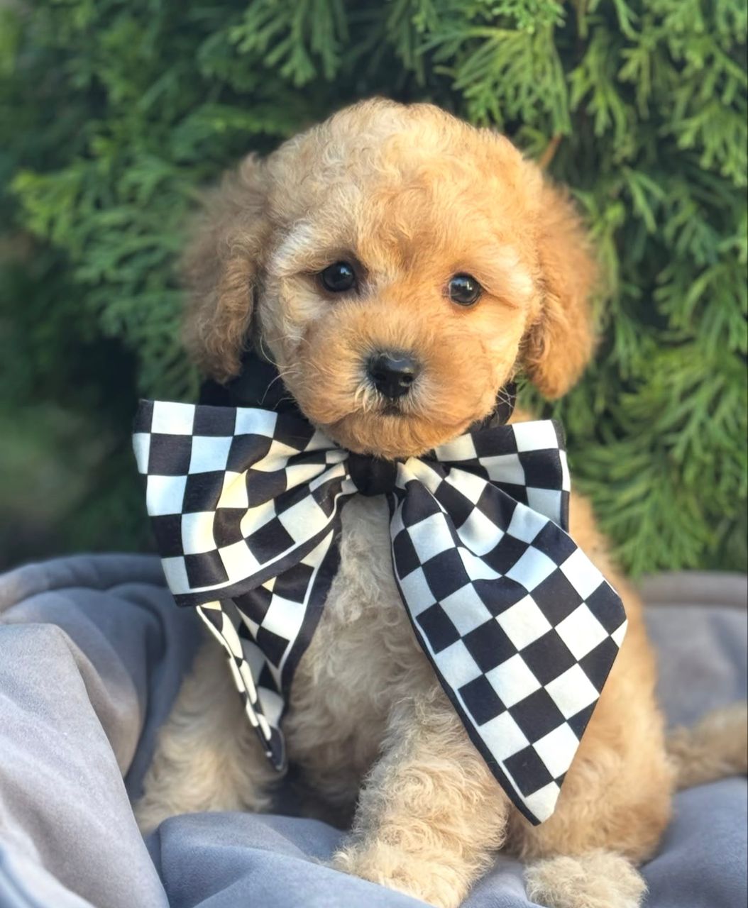 WhatsApp Image 2025-11-21 at 22.25.21_3905ed77