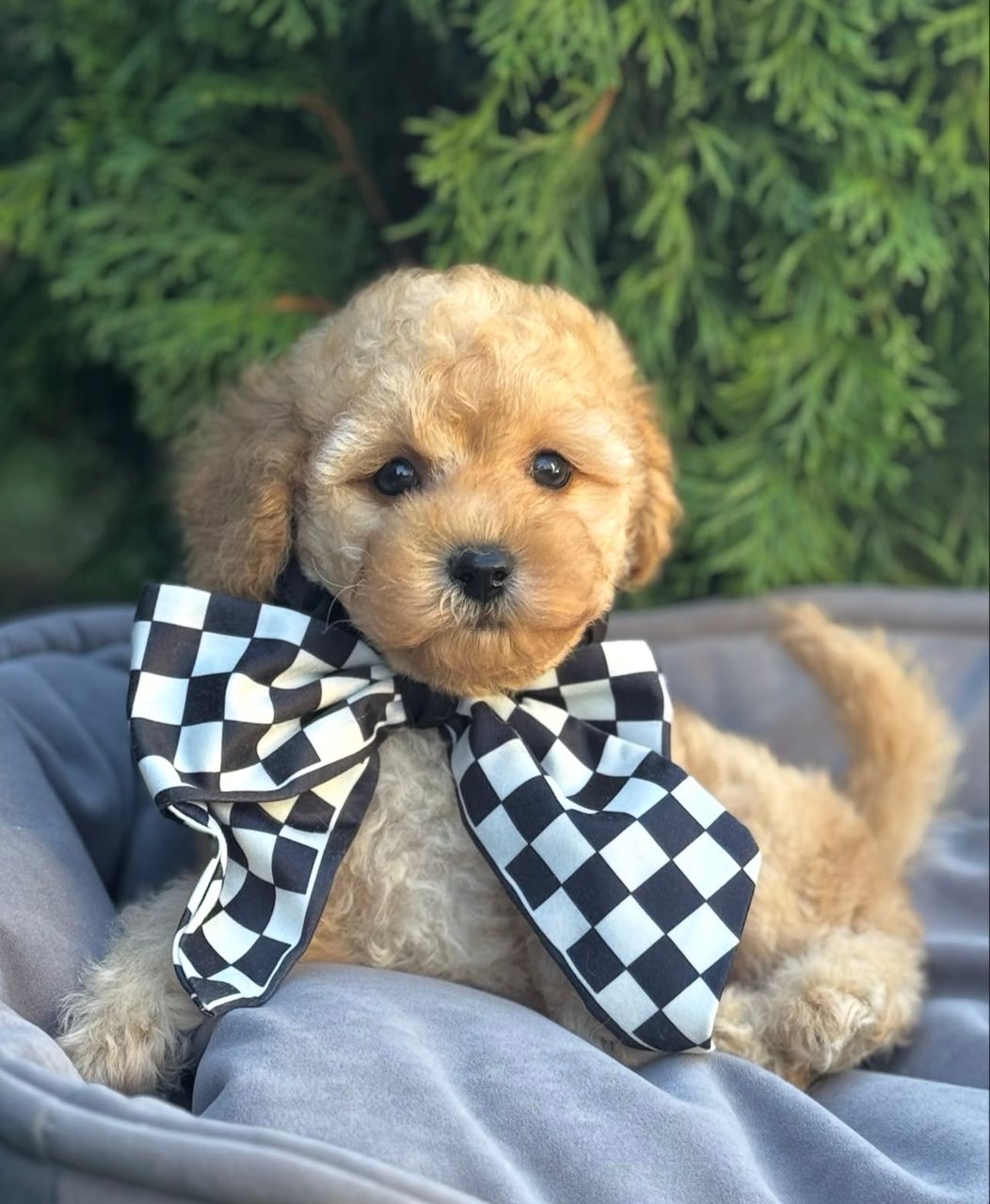 WhatsApp Image 2025-11-21 at 22.25.22_fd2c37b8