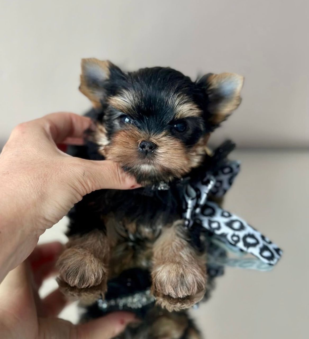 WhatsApp Image 2025-11-22 at 16.28.52_0fb13221