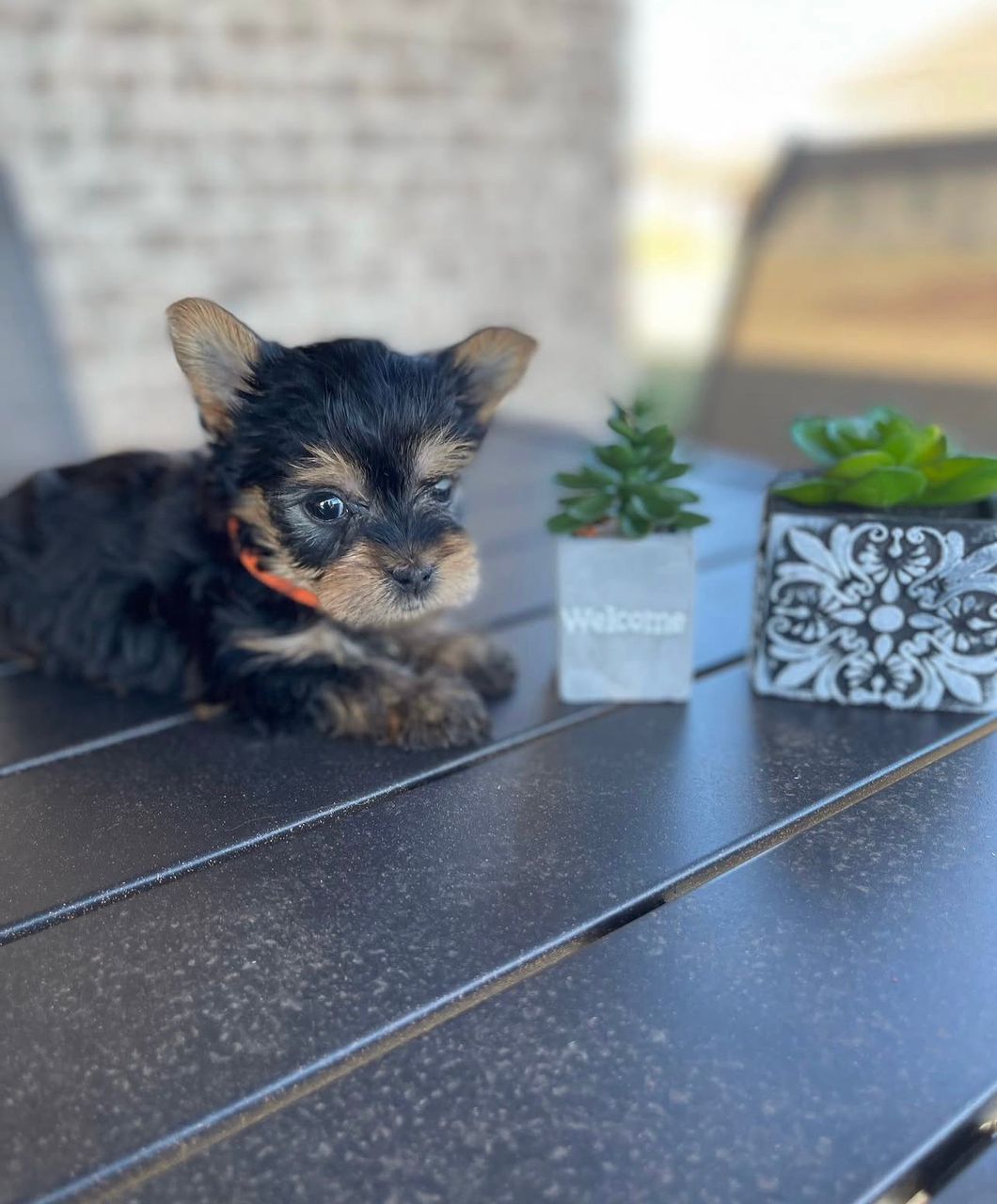 WhatsApp Image 2025-11-22 at 16.30.42_86300b25