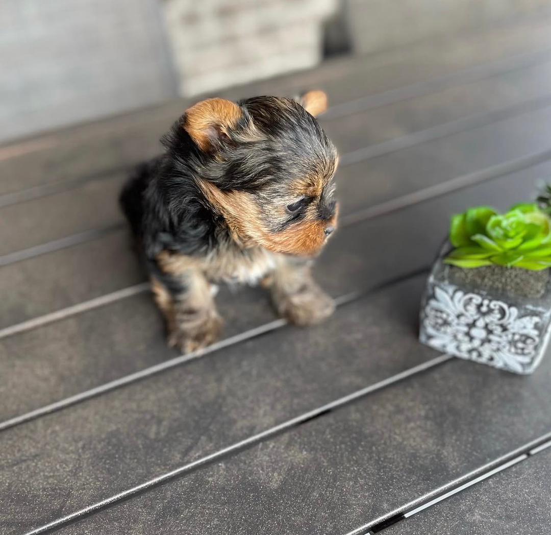 WhatsApp Image 2025-11-22 at 16.36.05_58accfc2