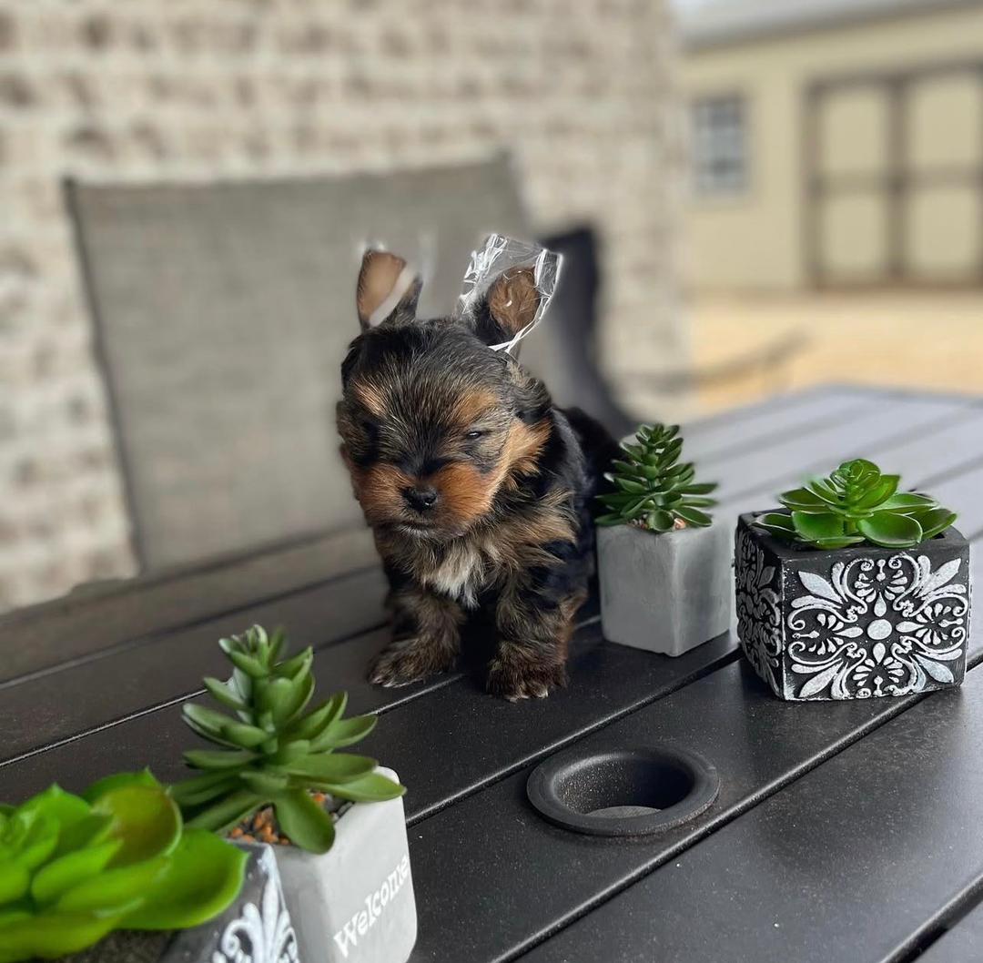 WhatsApp Image 2025-11-22 at 16.36.06_4563a112