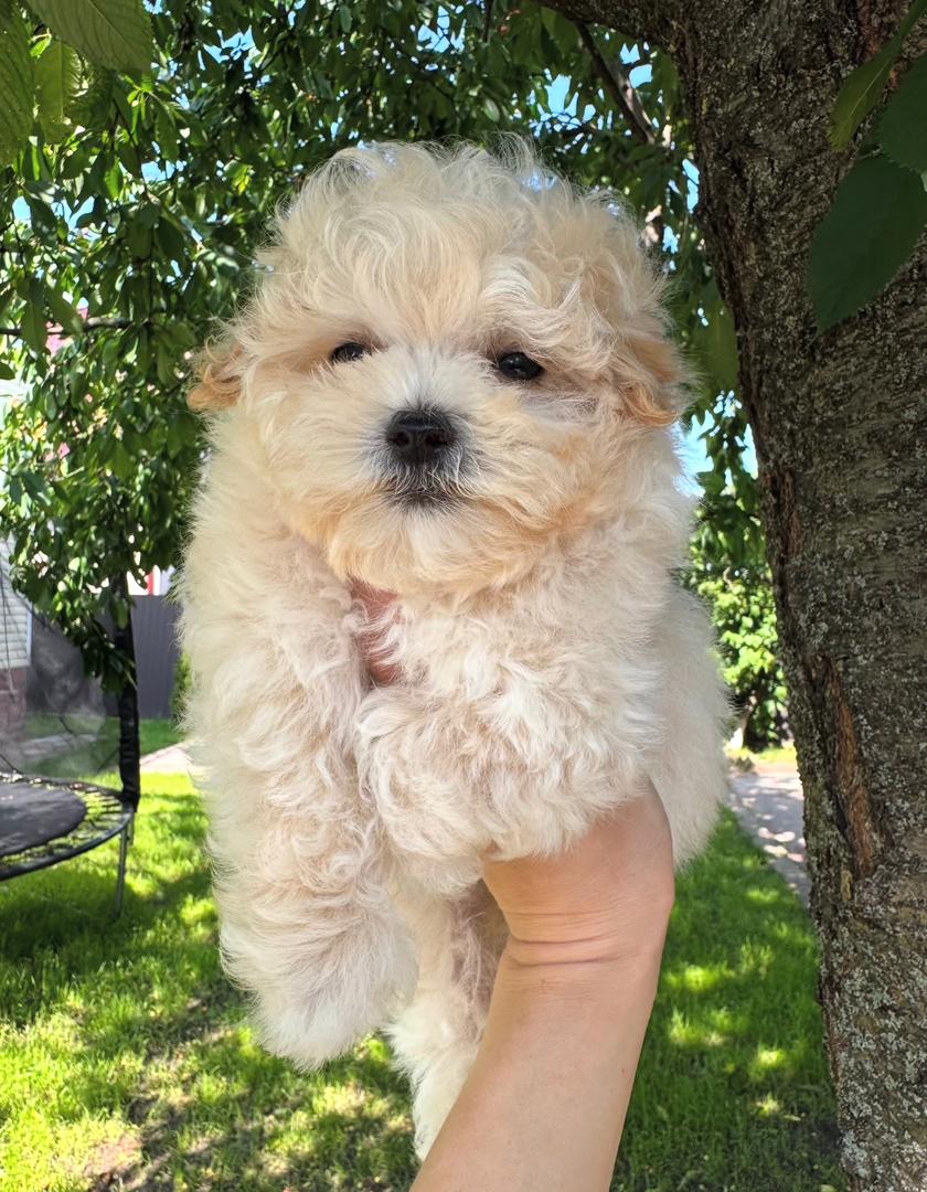 WhatsApp Image 2025-11-24 at 17.43.33_3936de3b