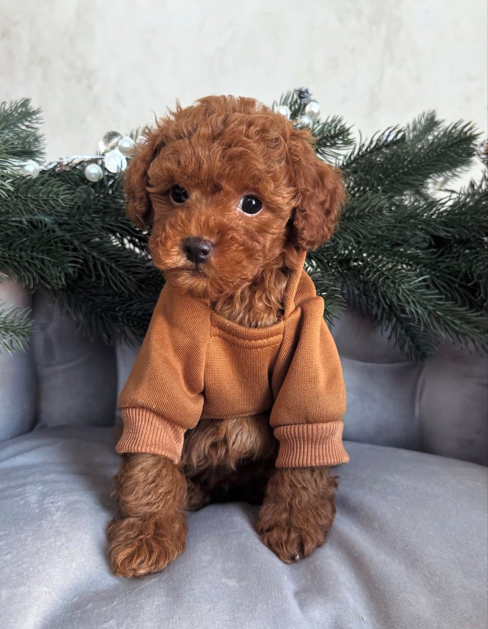 WhatsApp Image 2025-11-24 at 18.13.51_b5ac90aa