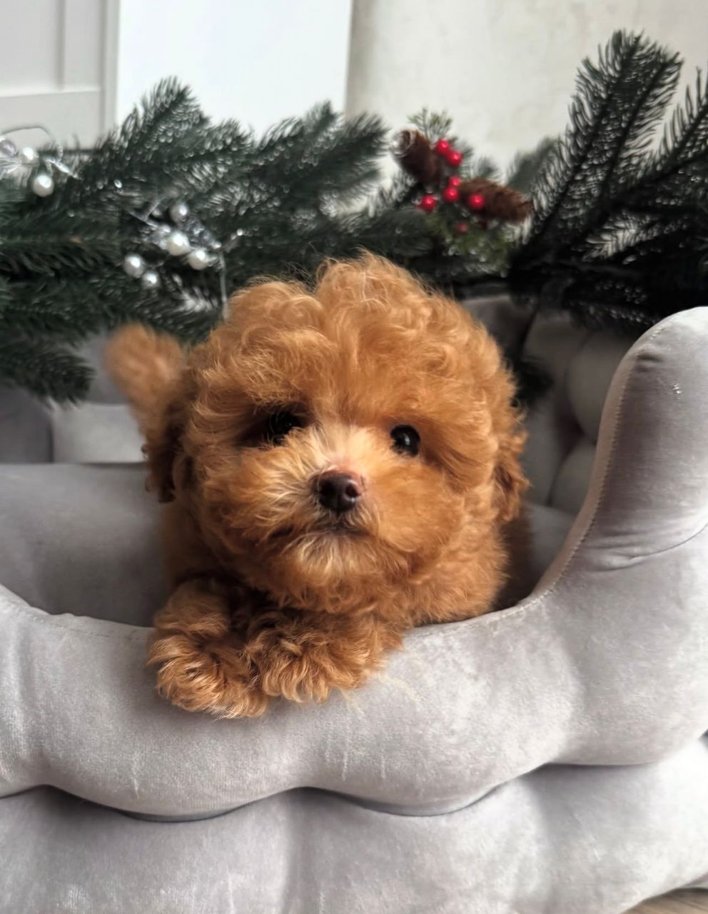 WhatsApp Image 2025-11-29 at 19.57.05_adc6783e