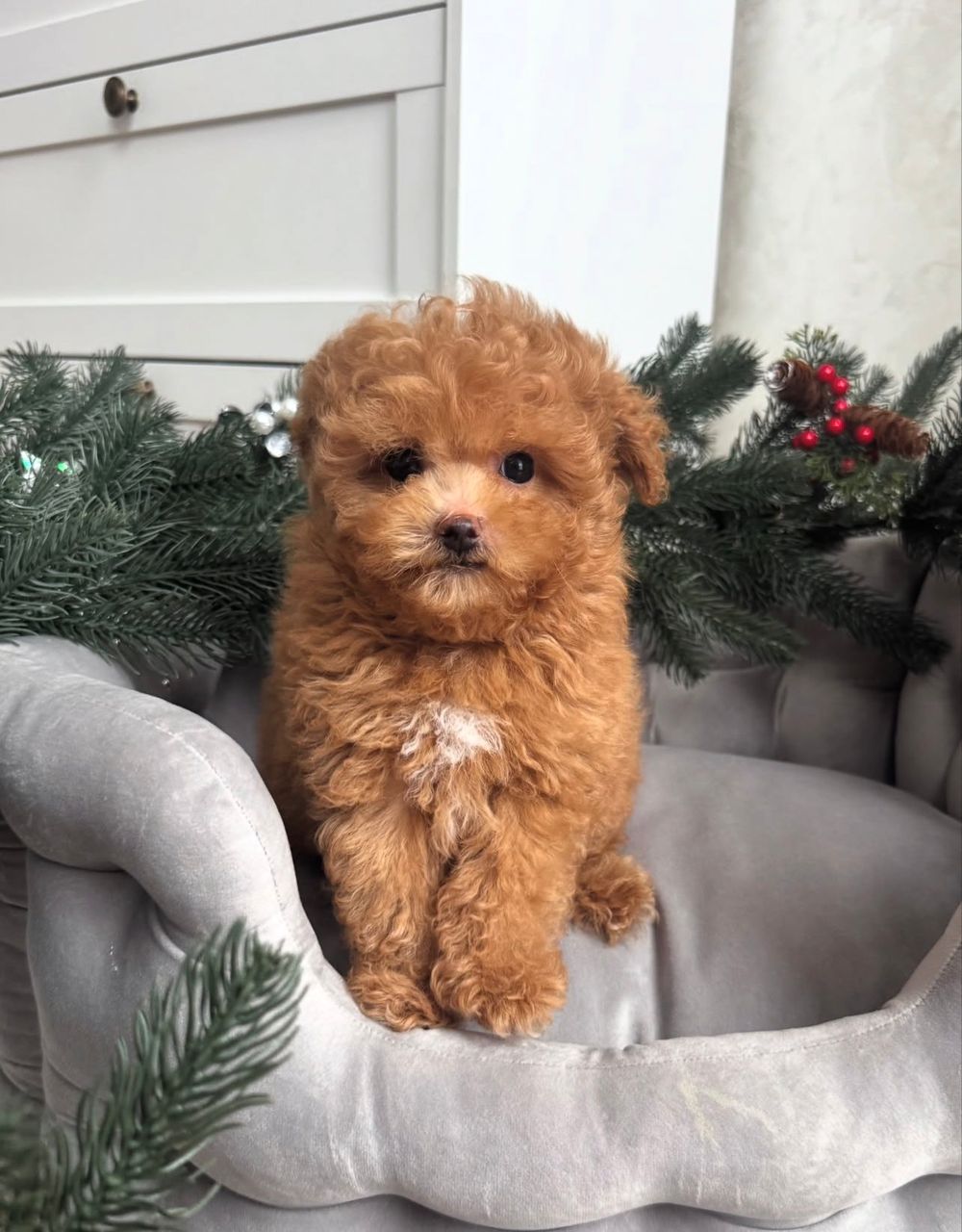 WhatsApp Image 2025-11-29 at 19.57.31_936f21a2