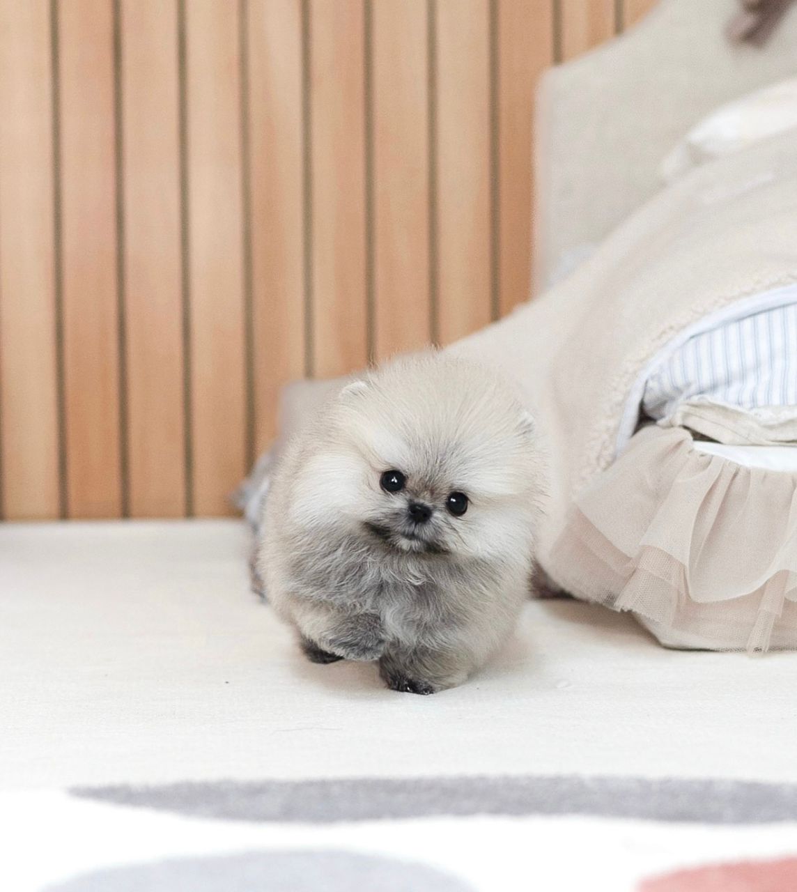 WhatsApp Image 2025-12-02 at 03.10.12_7abe133b