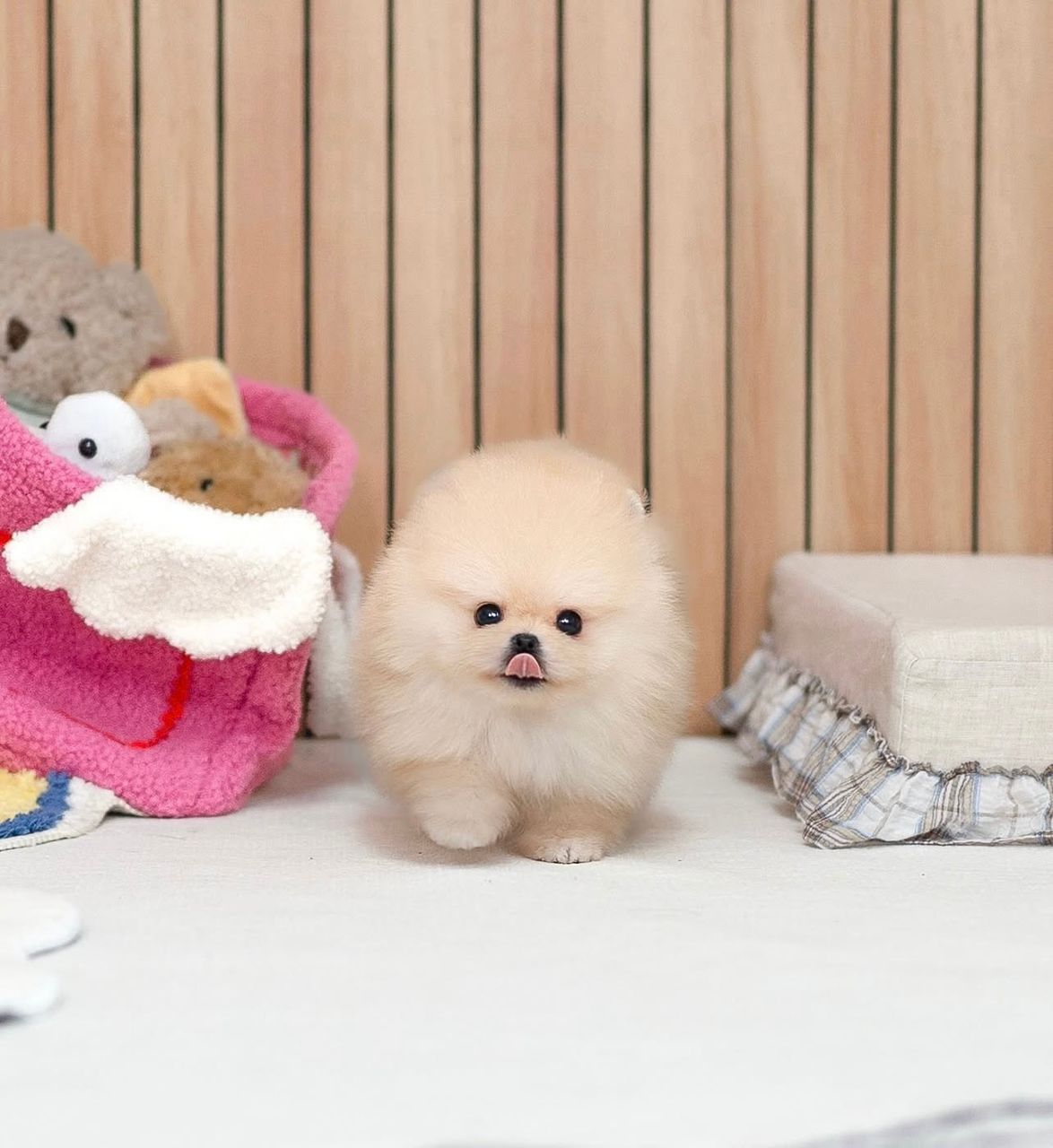 WhatsApp Image 2025-12-02 at 03.12.19_75b536e3