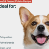 Just Food for Dogs Healthy Weight 18 — grain-free, high-protein weight management for adult dogs