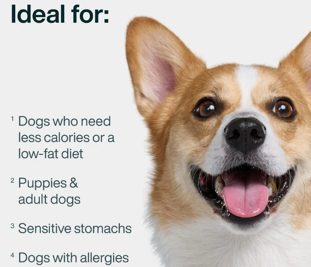 Just Food for Dogs for sale Step-by-step: sign of fresh ingredients, including meat, veggies, and supplements, in a meal preparation scene