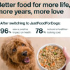Turkey and whole wheat macaroni dog meal in a bowl, fresh ingredients and balanced nutrition.