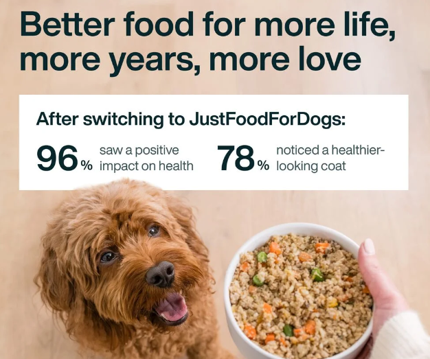 Just Dog Food For sale Turkey and whole wheat macaroni dog meal in a bowl, fresh ingredients and balanced nutrition.